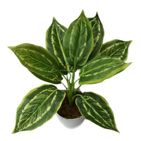Plante artificielle Dieffenbachia à taches, feuilles de soie, type Taro, en pot, 48 cm, pour centre de table, mariage, Noël, décoration intérieure