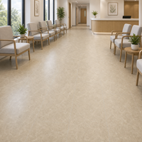Revêtement de sol en vinyle SPC WYRAX beige imitation pierre, 5 mm, facile à installer, planches pour intérieur commercial, bureau, usage professionnel