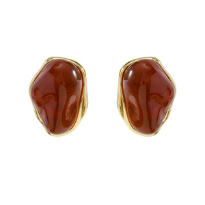 Phụ Nữ Cổ Điển Của Bông Tai Hổ Phách Nhựa Không Thường Xuyên Hình Học Đơn Giản Pháp Nhỏ <span class=keywords><strong>Stud</strong></span> Bông Tai Hàn Quốc Nhật Bản Phong Cách Nâu Đá Pha Lê - Product Image 6