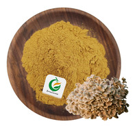 Fruiterco Private Label Echte Morieljes Extract Black Morel Mushroom Morchella Esculenta Extract