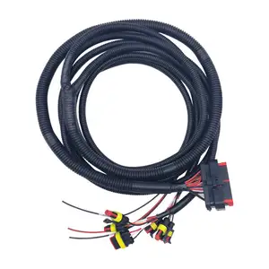 Manufacturing Auto BMS Wire Loom harness kits custom ECU ECM automotive sensor wiring harness