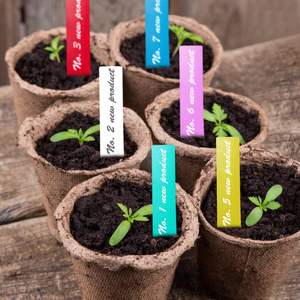 علامات نباتات الحديقة المقاومة للماء 2X10CM 5 ألوان من البلاستيك علامات حدائق الحضانة ملصقات الحديقة علامات حصص النباتات - Product Image 6