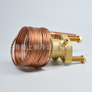 Vanne d'expansion Emerson XB-1019CL-2B à équilibrage externe pour évaporateur réfrigérant R22 bidirectionnelle - Product Image 1