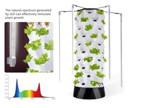 Tour de culture hydroponique thermoformée sur mesure, petit jardin aquaponique, système de plantation de fraises, pompe à eau verticale incluse, pour la maison - Product Image 6