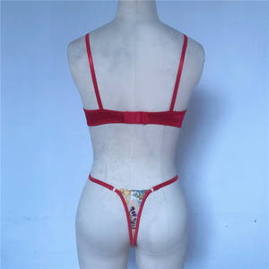 Nieuwe Aankomst Vrouwen Sexy Lingerie Bloem Borduurwerk Kant Hot Transparant Ondergoed 2 Stuks - Product Image 5