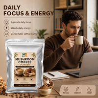 Poudre de café aux champignons Lion's Mane et Chaga pour la concentration et l'énergie, fabrication OEM en gros par une usine chinoise, marque privée