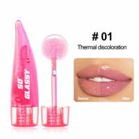 Gloss repulpant pour les lèvres personnalisé avec logo, huile repulpante à l'acide hyaluronique, gloss à lèvres OEM