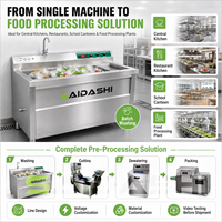 SAIDASHI RVS Fruit- en Groentewasmachine met Ozonverwarming voor Appel, Druif, Aardbei en Tomaat