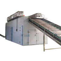 Four de séchage à bande en maille JDZN à chauffage au gaz pour la déshydratation des fleurs d'hibiscus, des fèves de cacao et de l'ail - Machine à nettoyage automatique