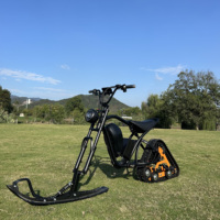 Moteur de moyeu arrière sans balais haute puissance 2000W 48V, batterie lithium grande capacité, écran LCD, contrôleur intelligent à 3 vitesses avec commande au pouce