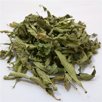 Daun Lemon Verbena Kering Alami Laris Manis, Daun Aloysia Triphylla Kering