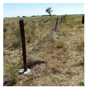 4 pies Power-Coated Green Y Post <span class=keywords><strong>Madera</strong></span> tratada térmicamente para control de multitudes Piquete de estrella de metal para cercas Enrejado y puertas - Product Image 4