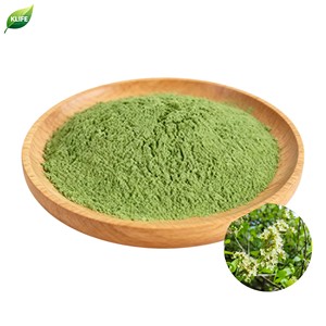 KLIFE fabbrica fornitura alla rinfusa di henné <span class=keywords><strong>naturale</strong></span> estratto di henné in polvere <span class=keywords><strong>per</strong></span> <span class=keywords><strong>capelli</strong></span> a mano - Product Image 2
