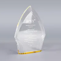 APEX buzlu kenar özel akrilik ödül boş kupa ve plaklar akrilik