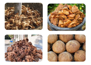 Máquina Peladora de Coco Seco al Mejor Precio de Fábrica, Máquina Peladora de Coco 230v, Máquina Peladora de Coco en Botella - Product Image 6