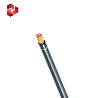 Fabricante Profesional de Cable de Cobre THHN THW, Cable Eléctrico Aislado con PVC