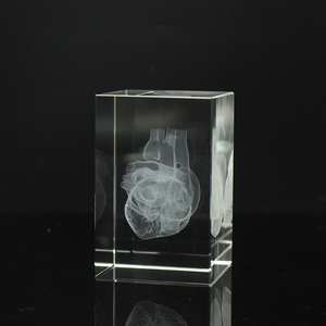 Cubo di Cristallo con Modello Umano a Cuore Inciso al Laser 3D, per Regali e Souvenir Didattici Ospedalieri - Product Image 3