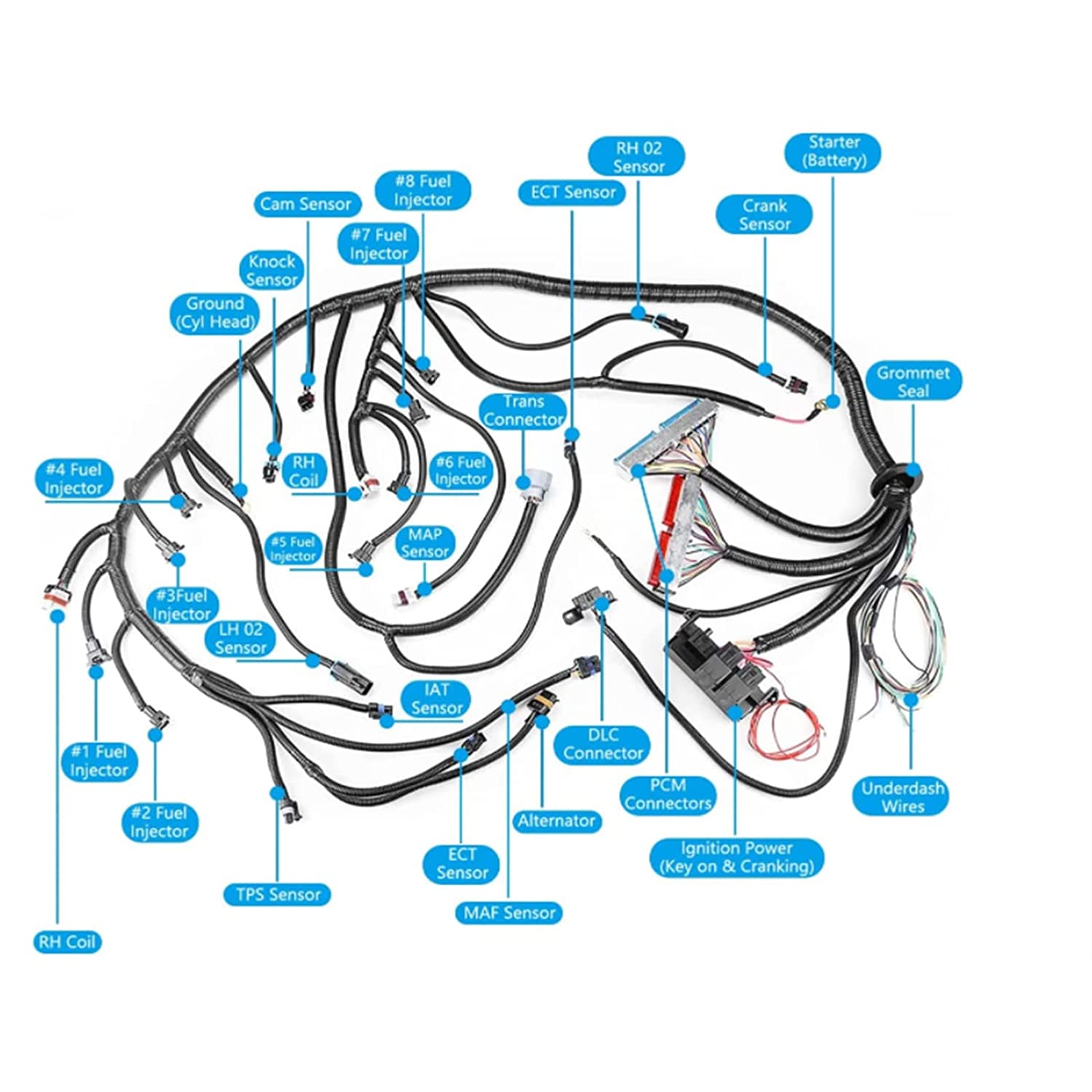 4988598 QSB6.7 Diesel Engine Electronic Control Module Wiring
