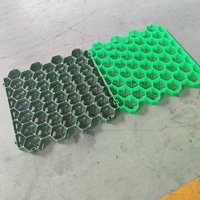 Grilles de pavage en plastique modernes pour le gazon des parcs et le drainage du gravier, utilisation extérieure