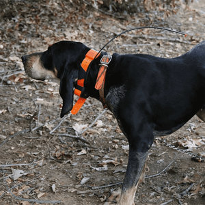 Antenne GPS de 57 cm pour collier de suivi de chien Garmin T5 TT10 TT15 T5Mini DC30 DC40 DC50 Astro 220 320 430 Alpha 100 50 - Product Image 1