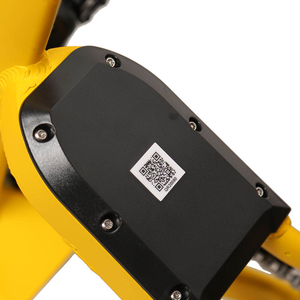 TXED Promotion Tricycle Électrique Urbain à 3 Roues pour Adultes, 36V 250W, Cadre en Alliage, Frein à Tambour, Écran LCD, Accélérateur, pour Livraison Urbaine - Product Image 6