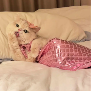 Costume de sirène tendance pour chat, tenue amusante avec queue, accessoires mignons pour photos de chatons - Product Image 2