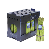 Meilleur prix pour les feuilles de polypropylène ondulé, conteneur d'emballage pour asperges, stockage et expédition, boîte de circulation en plastique pour okra