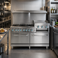Cuisinière à gaz commerciale en acier inoxydable à 6 brûleurs avec plaque de cuisson, gril et four pour cuisine de restaurant