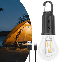 Le camping rechargeable de type C LED allume les lumières de tente IP65 imperméables pour des nuits extérieures