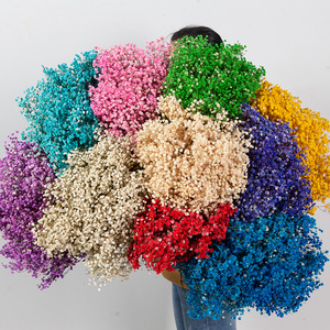 Bouquet di Gypsophila Fiori Conservati di Gypsophila Bianchi Fiori Secchi per Matrimoni o Decorazioni Domestiche - Product Image 3