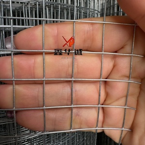 Nhà Máy Bán Hàng Trực Tiếp Sắt Mạ Kẽm Dây Lưới Cho Động Vật Nhỏ Chăn Nuôi Bảo Vệ Lưu Trữ Hạt - Product Image 3