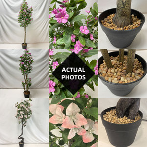 Plantes Artificielles en Gros - Bonsaï Bougainvillier Réaliste, Faux Arbre à Fleurs Vertes dans des Pots Élégants pour la Décoration Maison et Bureau - Product Image 4