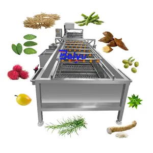 Lavadora automática Baiyu para frutas, verduras, mariscos, mariscos y tubérculos para limpieza de nueces y soja para plantas de procesamiento de alimentos
