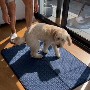 Tapis PEMF professionnel pour le confort corporel des animaux <span class=keywords><strong>de</strong></span> compagnie, outil d'entretien quotidien <span class=keywords><strong>auxiliaire</strong></span> pour les centres <span class=keywords><strong>de</strong></span> physiothérapie animale - Product Image 3