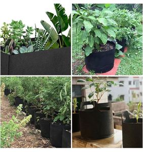 Bolsas de Cultivo de Patatas de 5 Galones a Precio Económico, Macetas de Tela para Jardín e Invernadero - Product Image 6