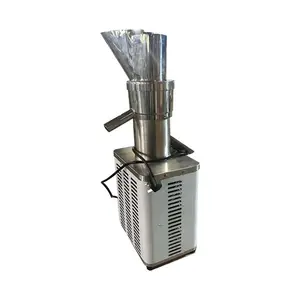 Wholesale Commercial Powerful Juicer Extractor Ginger Apple Stainless Steel Cold Press Slow Juicer Machine