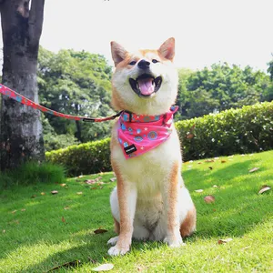 Bandana de poliéster transpirable personalizada para perros, accesorios con impresión para mascotas, decoración para colgar, pañuelos bonitos con logotipo