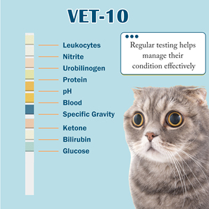 Fuente de alimentación manual probada por veterinarios, 10 parámetros, tiras de prueba de diagnóstico de orina animal, <span class=keywords><strong>aparato</strong></span> de examen de agudeza visual - Product Image 5