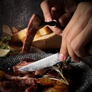 Ensemble <span class=keywords><strong>de</strong></span> 4 <span class=keywords><strong>couteaux</strong></span> à steak en acier Damas 10Cr15CoMov, couteau à steak pour restaurant, <span class=keywords><strong>table</strong></span> à manger, cuisine, découpe <span class=keywords><strong>de</strong></span> bœuf - Product Image 5