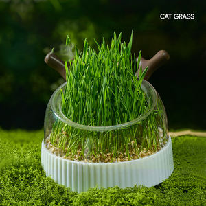 Kit de culture hydroponique minimaliste écologique de haute qualité Yun pour herbe à chat avec trou de drainage, pack de culture sans terre pour friandises à la catnip - Product Image 2