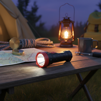 Lampe de poche d'urgence portable haute puissance en plastique super lumineuse rechargeable à LED 2025, mini lampe de poche domestique pas chère