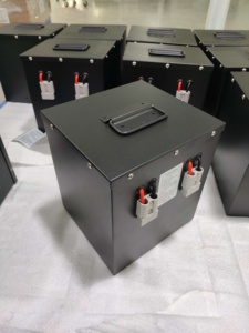 Batterie au lithium Delong Cube Shape Tricycle Pedicab 16S1P 48V 51.2V 50Ah GP51105 Batterie au lithium 48V 50Ah - Product Image 5