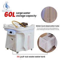 Fauteuil de lavage de cheveux portable avec bac de massage et réservoir d'eau intégré pour salon de coiffure