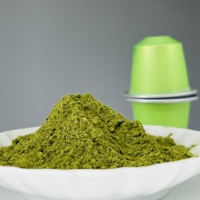 Capsules de thé Matcha chinoises très vendues en gros – Capsules de thé et de café Matcha pour l'UE
