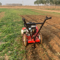 KATHER Mini désherbeur rotoculteur Désherbeur électrique Désherbeur multifonctionnel Machine à rouler Tondeuse à gazon Ferme Verger