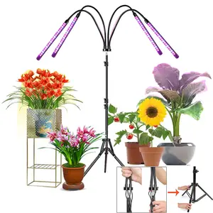 New style Grow Lights for Indoor Plants, Adjustable Gooseneck, Suitable for Various Plants Growth LED Grow light