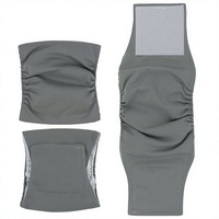 Vêtements pour animaux de compagnie : Culottes absorbantes pour chiens mâles, Ceintures d'étiquette pour chiens, Tapis de propreté pour chiens en polyester toutes saisons
