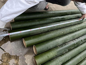 Tiras de Bambú con Acabado Liso para la Fabricación de Cometas y Artesanías de Bambú, Calidad de Exportación de Vietnam, Materiales Sin Nudos - Product Image 6