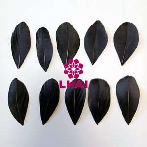 Dyed Goose Feather <strong>Tips</strong> Nagorie <strong>Tips</strong> Feathers for Costumes Carnival <strong>Dance</strong> Headdress Crafts Performance Dress Cloth