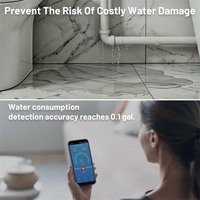 Neo Smart Home moderne ABS WiFi vanne d'eau contrôle minuterie Mobile télécommande interrupteur alimenté par batterie NAS-WV07W compteur d'eau consommation